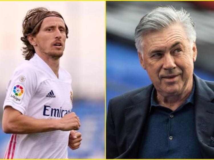 戈贝尔贡献 戈贝尔贡献