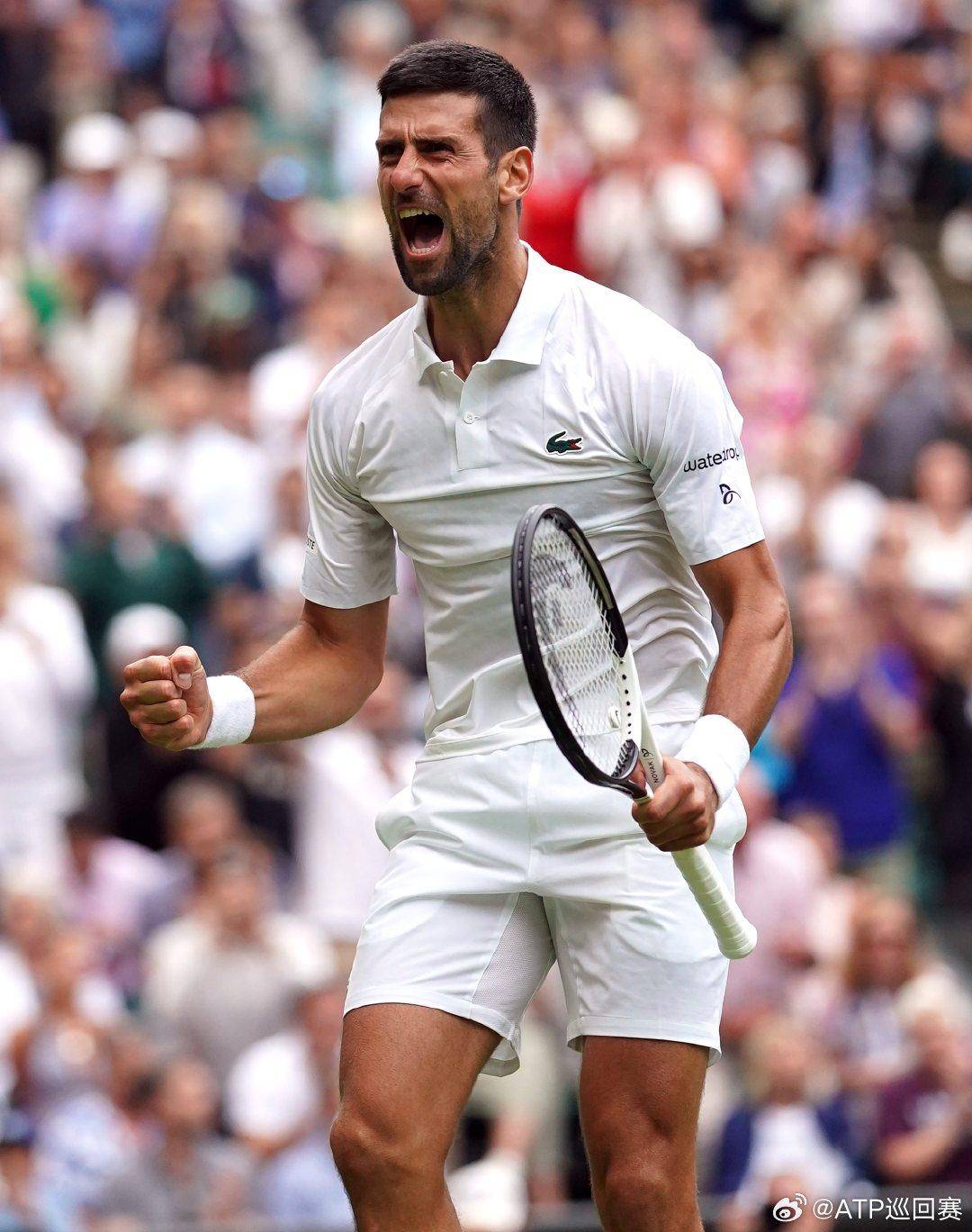 的耐心投资 的耐心投资